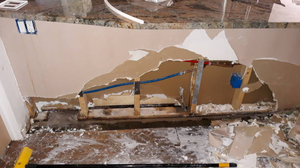 Best Flood damage cleanup  in Lake City, AR
