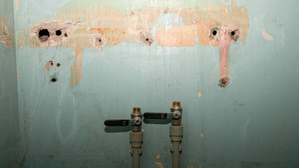 Best Mold removal after water damage  in Lake City, AR