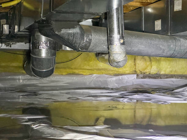Best Carpet water damage restoration  in Lake City, AR