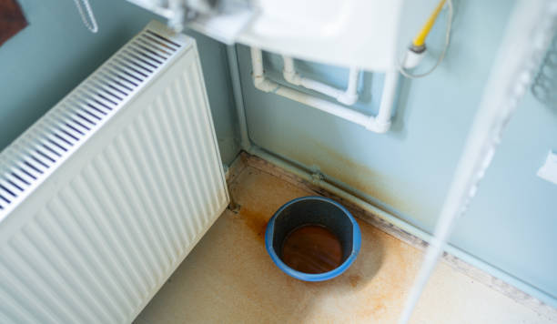 Best Water damage contractors near me  in Lake City, AR